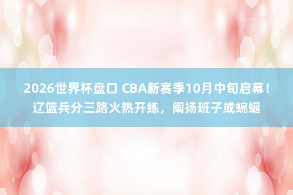 2026世界杯盘口 CBA新赛季10月中旬启幕！辽篮兵分三路火热开练，阐扬班子或蜿蜒