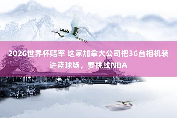 2026世界杯赔率 这家加拿大公司把36台相机装进篮球场，要挑战NBA