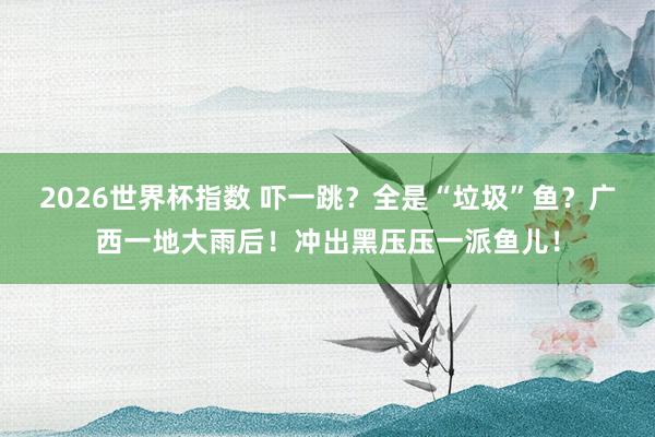 2026世界杯指数 吓一跳？全是“垃圾”鱼？广西一地大雨后！冲出黑压压一派鱼儿！