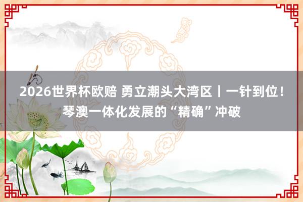 2026世界杯欧赔 勇立潮头大湾区丨一针到位！琴澳一体化发展的“精确”冲破