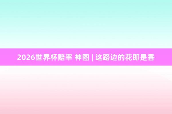 2026世界杯赔率 神图 | 这路边的花即是香