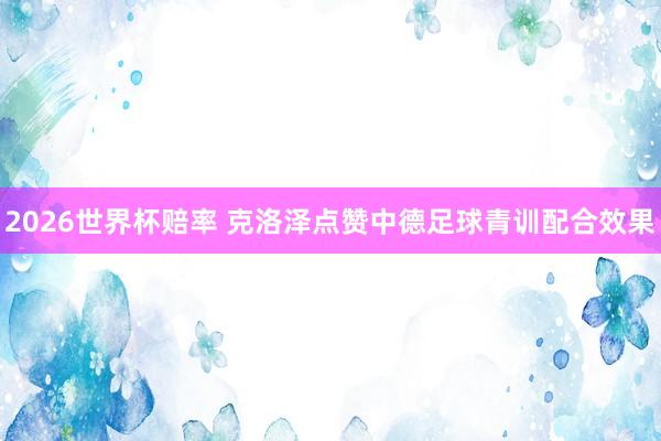 2026世界杯赔率 克洛泽点赞中德足球青训配合效果