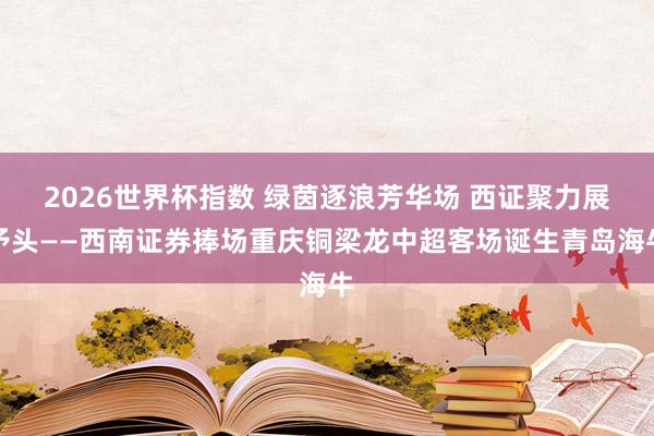 2026世界杯指数 绿茵逐浪芳华场 西证聚力展矛头——西南证券捧场重庆铜梁龙中超客场诞生青岛海牛