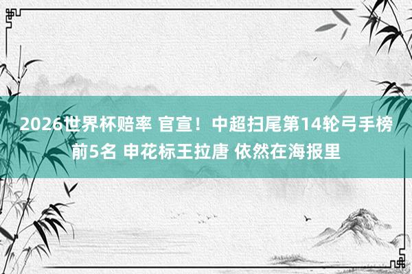 2026世界杯赔率 官宣！中超扫尾第14轮弓手榜前5名 申花标王拉唐 依然在海报里