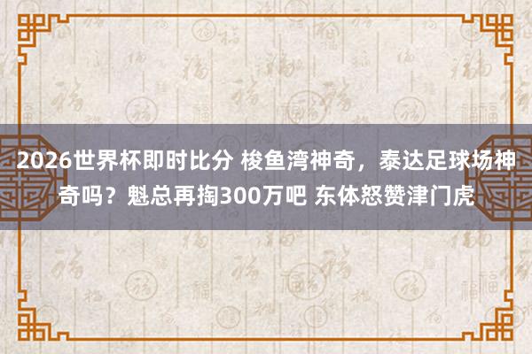 2026世界杯即时比分 梭鱼湾神奇，泰达足球场神奇吗？魁总再掏300万吧 东体怒赞津门虎
