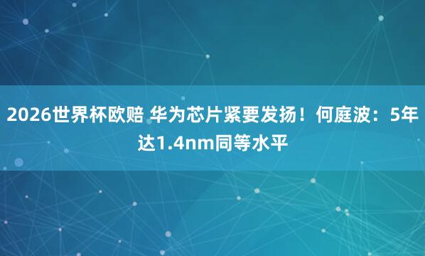2026世界杯欧赔 华为芯片紧要发扬！何庭波：5年达1.4nm同等水平
