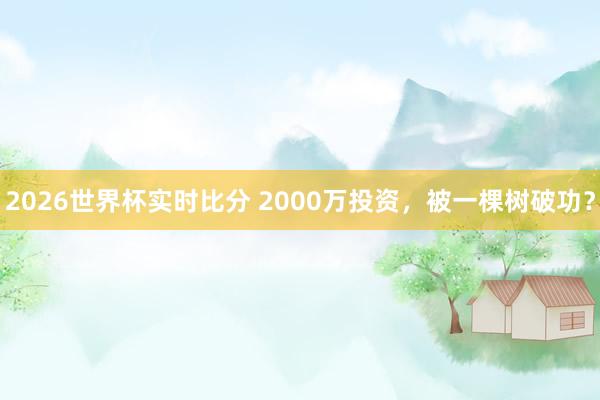 2026世界杯实时比分 2000万投资，被一棵树破功？