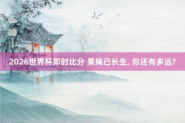2026世界杯即时比分 果蝇已长生, 你还有多远?