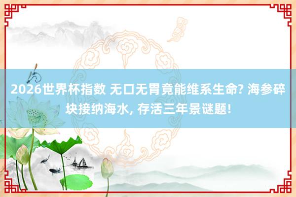 2026世界杯指数 无口无胃竟能维系生命? 海参碎块接纳海水, 存活三年景谜题!