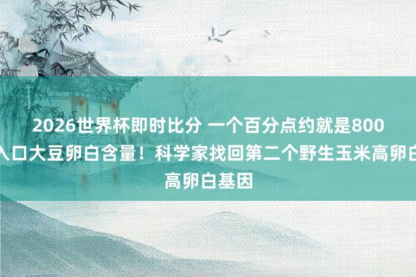 2026世界杯即时比分 一个百分点约就是800万吨入口大豆卵白含量!科学家找回第二个野生玉米高卵白基因