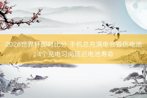 2026世界杯即时比分 手机总充满电会毁伤电池, 4个充电习尚延迟电池寿命