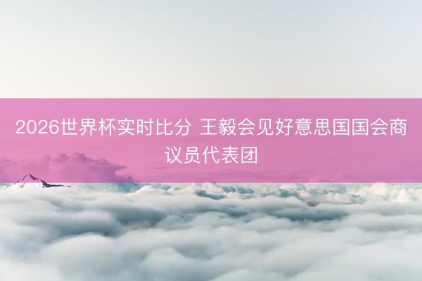 2026世界杯实时比分 王毅会见好意思国国会商议员代表团