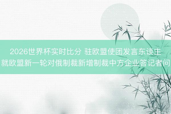 2026世界杯实时比分 驻欧盟使团发言东谈主就欧盟新一轮对俄制裁新增制裁中方企业答记者问